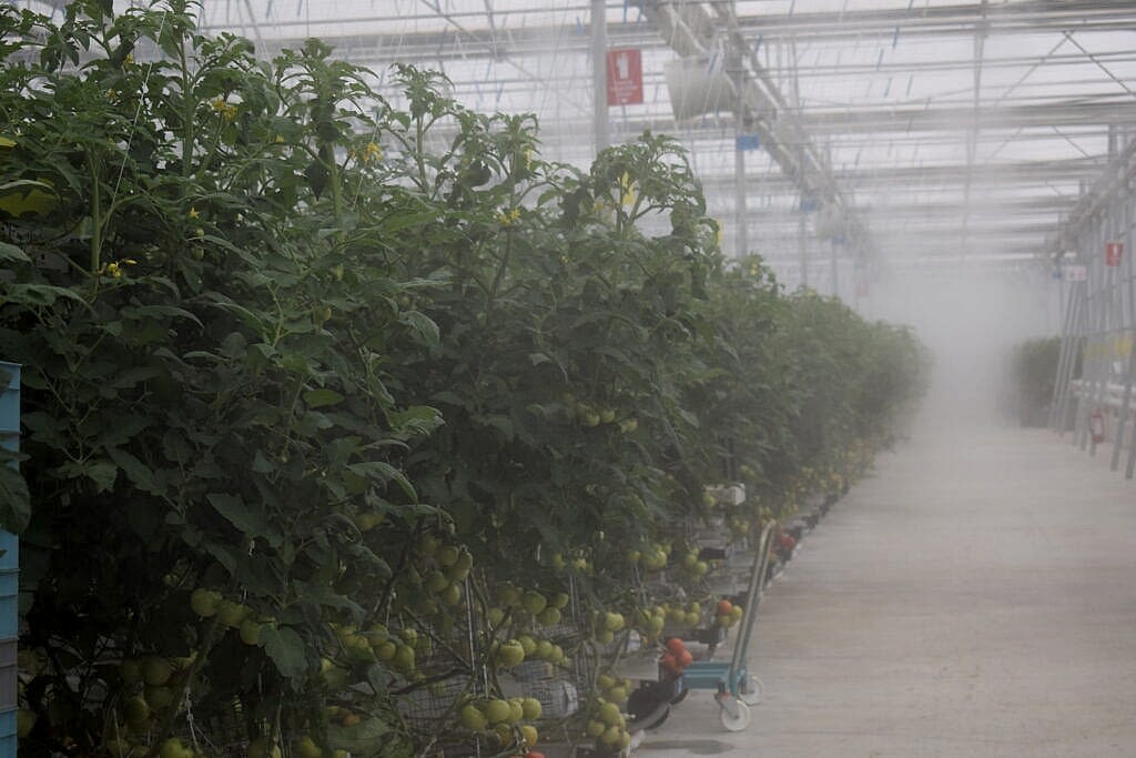 Yüksek Basınç Sisleme-Nemlendirme Sistemi